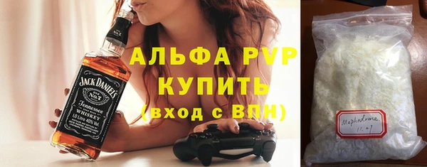 стаф Арсеньев