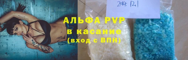 стаф Арсеньев