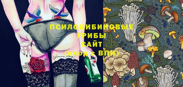 PSILOCYBIN Аркадак