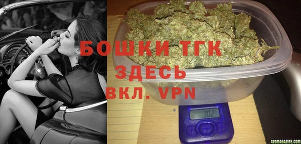 PSILOCYBIN Аркадак
